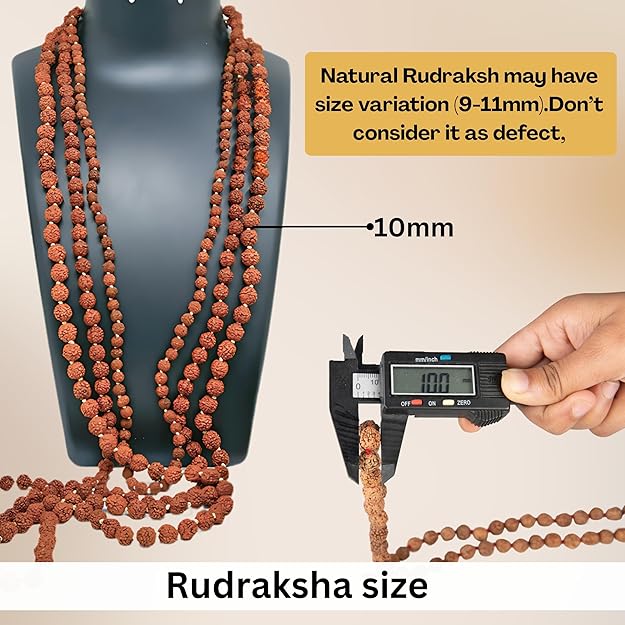 Original 5 Mukhi (Panchmukhi) Rudraksha Mala – 108+1 Himalayan Beads with Certificate | Wonder Care